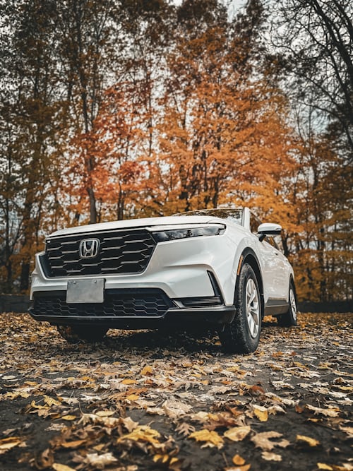 SUV familiar
